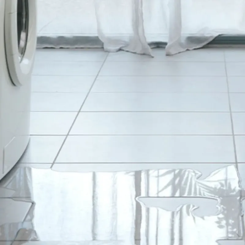 Appliance Leak Cleanup in Orangevale, CA