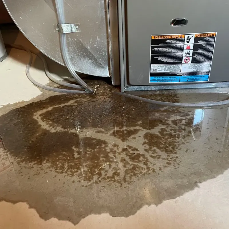 Pipe Burst and Leak Restoration in Orangevale, CA